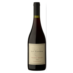 D.V. CATENA PINOT NOIR- PINOT NOIR