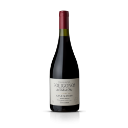 ZUCCARDI POLIGONOS PARAJE ALTAMIRA MALBEC