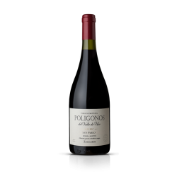 ZUCCARDI POLIGONOS SAN PABLO MALBEC