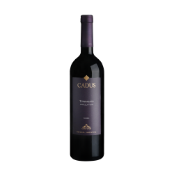 CADUS APPELLATION TUPUNGATO MALBEC