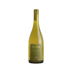CADUS APPELLATION VISTA FLORES CHARDONNAY