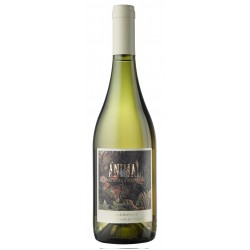 ANIMAL CHARDONNAY ORGANICO