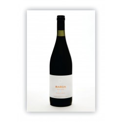 CHACRA BARDA PINOT NOIR