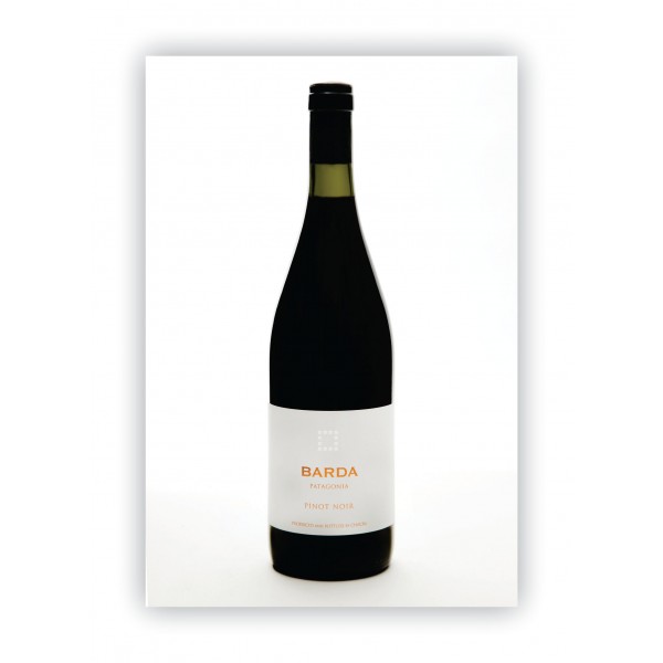 CHACRA BARDA PINOT NOIR CHACRA BARDA PINOT NOIR
