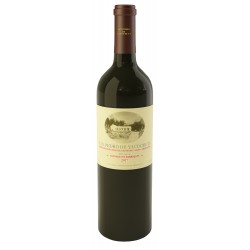 SAN PEDRO DE YACOCHUYA TINTO