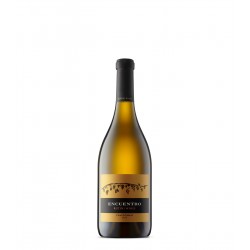 RUTINI ENCUENTRO CHARDONNAY