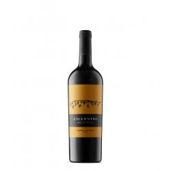 RUTINI ENCUENTRO CABERNET SAUVIGNON