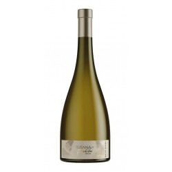 SUSANA BALBO SIGNATURE WHITE BLEND